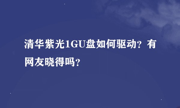 清华紫光1GU盘如何驱动？有网友晓得吗？