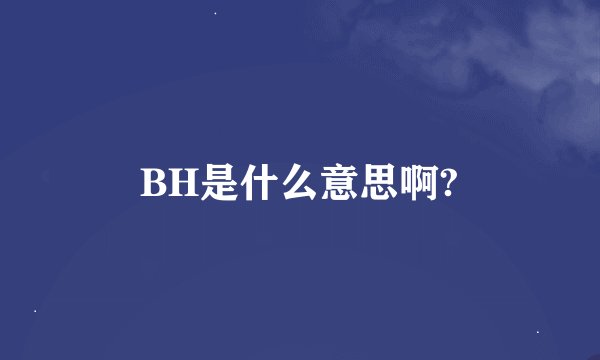 BH是什么意思啊?