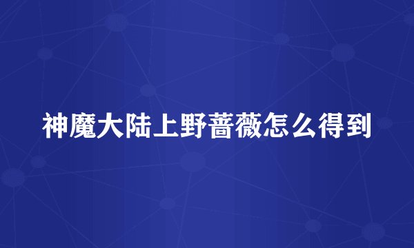神魔大陆上野蔷薇怎么得到
