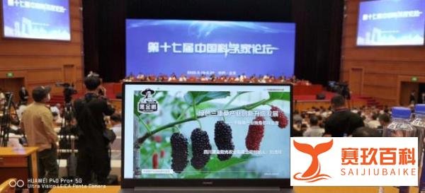 第十七届中国科学家论坛今日召开，刘茂祥获得中国企业首席科学家荣誉称号