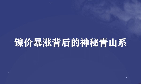 镍价暴涨背后的神秘青山系