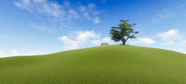 如何撑过“被单身”？