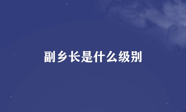 副乡长是什么级别
