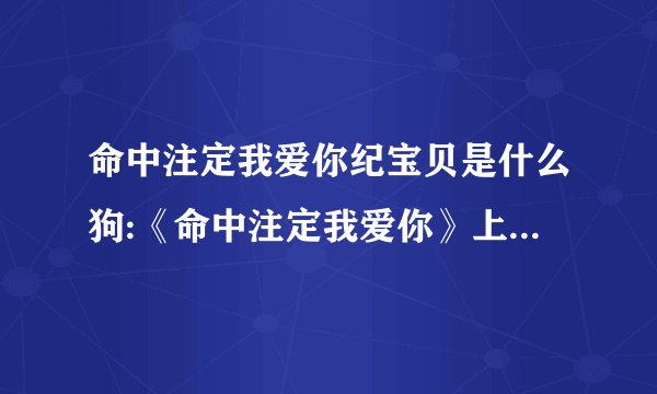 命中注定我爱你纪宝贝是什么狗:《命中注定我爱你》上面的纪宝贝是什么狗啊？