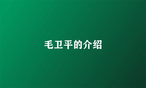 毛卫平的介绍