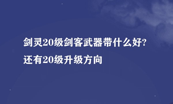剑灵20级剑客武器带什么好?还有20级升级方向