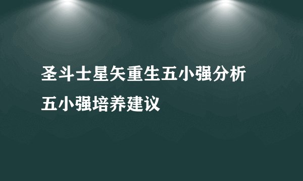 圣斗士星矢重生五小强分析 五小强培养建议