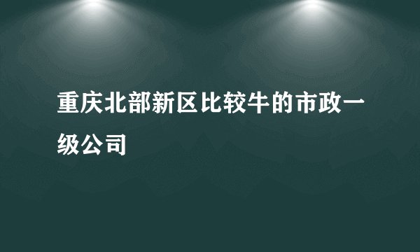 重庆北部新区比较牛的市政一级公司