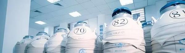 未婚女性可以使用精子库供精“去父留子”吗?目前不行
