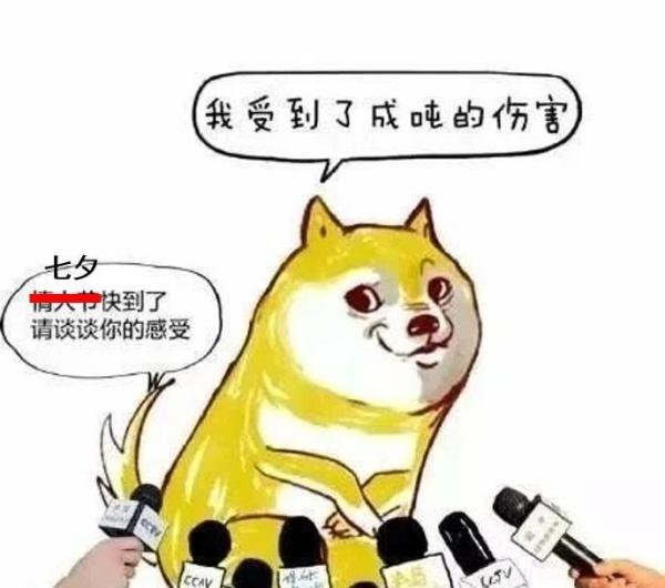 单身狗过七夕，怎样才能赢得云淡风轻？