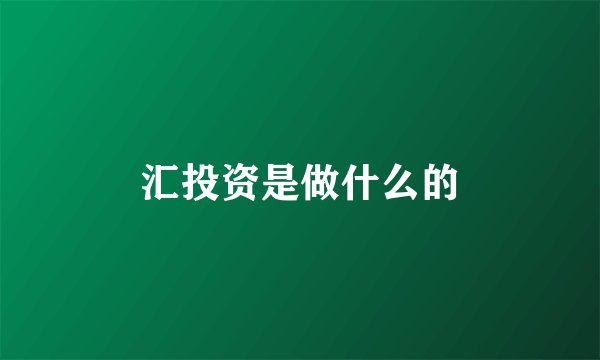 汇投资是做什么的