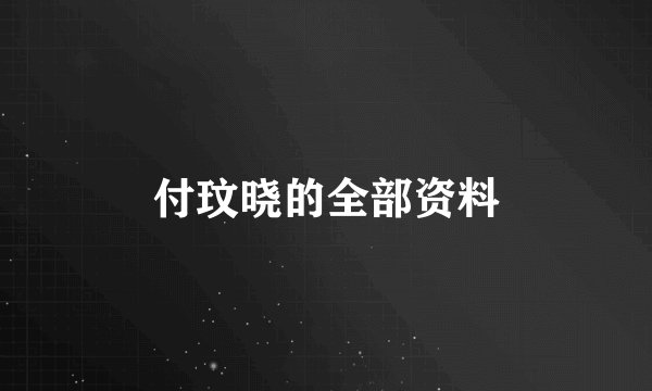 付玟晓的全部资料