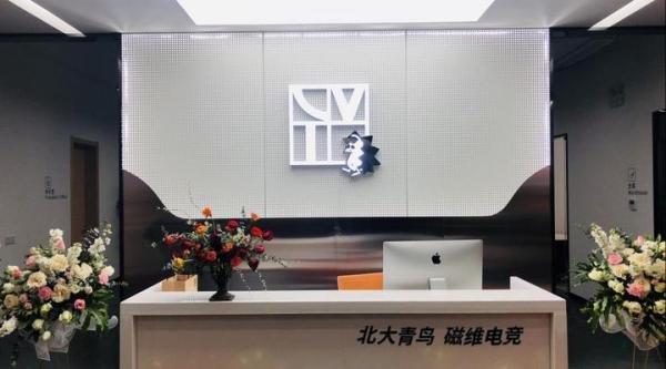 为什么选择青鸟磁维?_青鸟磁维电竞学院
