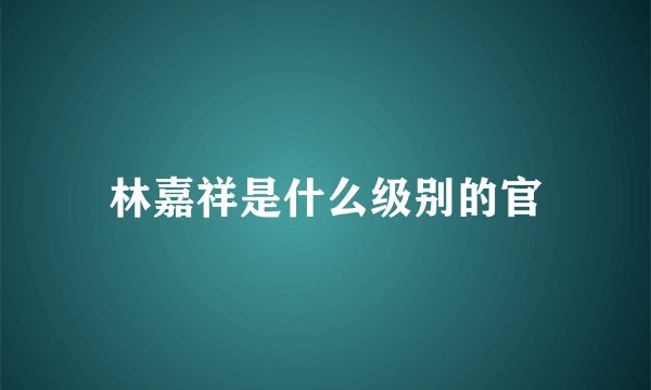 林嘉祥是什么级别的官
