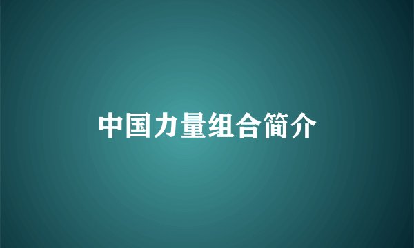 中国力量组合简介