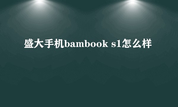 盛大手机bambook s1怎么样
