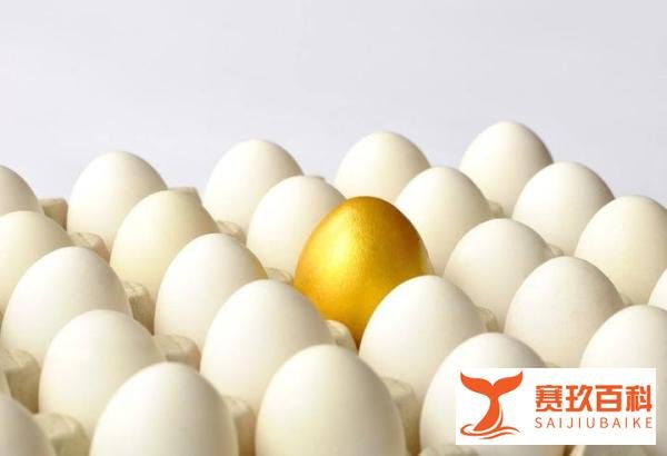 逆向思维布局,白手起家互联网创业并不难