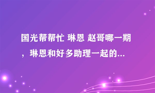 国光帮帮忙 琳恩 赵哥哪一期，琳恩和好多助理一起的，是哪一期？...看清哦 不是康熙 ~！