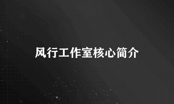 风行工作室核心简介