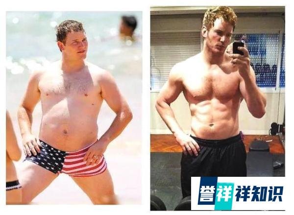 《侏罗纪世界3》即将开拍，星爵可得抓紧减肥了