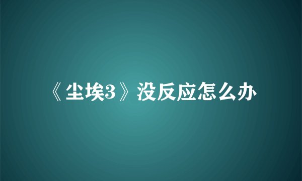 《尘埃3》没反应怎么办