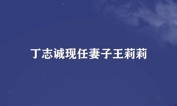 丁志诚现任妻子王莉莉