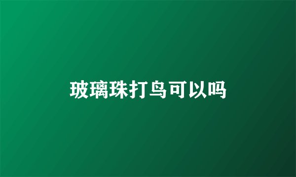 玻璃珠打鸟可以吗