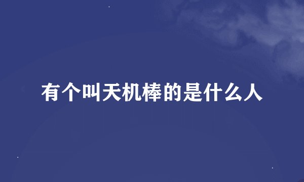 有个叫天机棒的是什么人