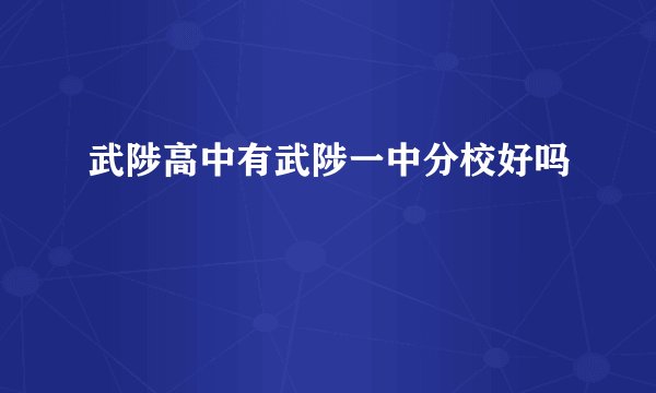 武陟高中有武陟一中分校好吗
