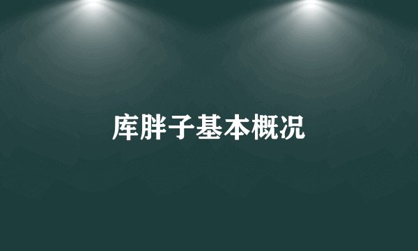 库胖子基本概况