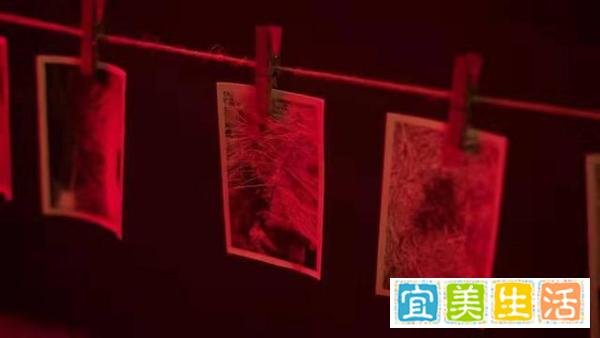 《新世界》谁杀了贾小朵？田丹这句台词实锤了，小红袄就是他