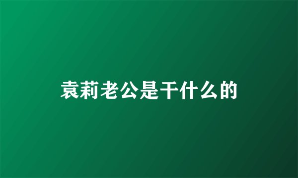 袁莉老公是干什么的