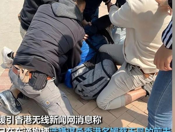 后续来了！蔡天凤被杀细节曝光！用人体组织做汤！前夫已被逮捕！