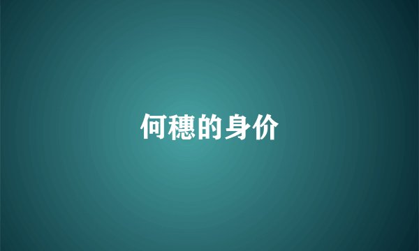 何穗的身价