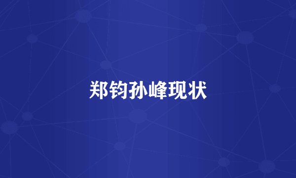 郑钧孙峰现状