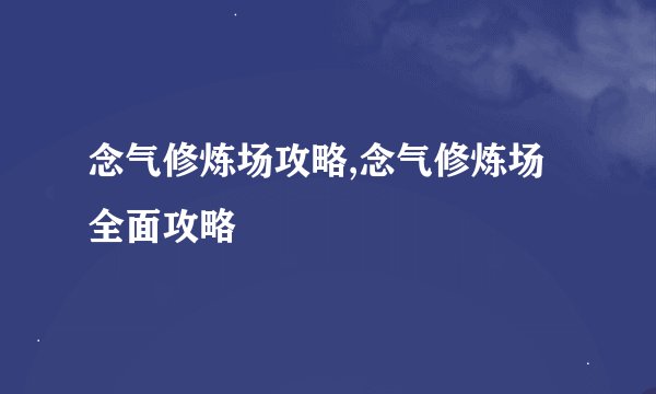 念气修炼场攻略,念气修炼场全面攻略