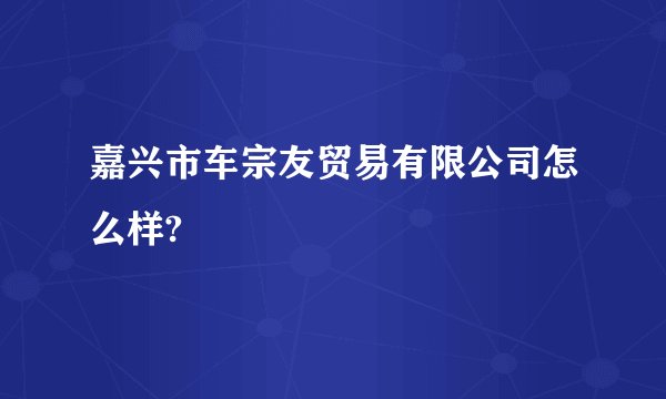 嘉兴市车宗友贸易有限公司怎么样?