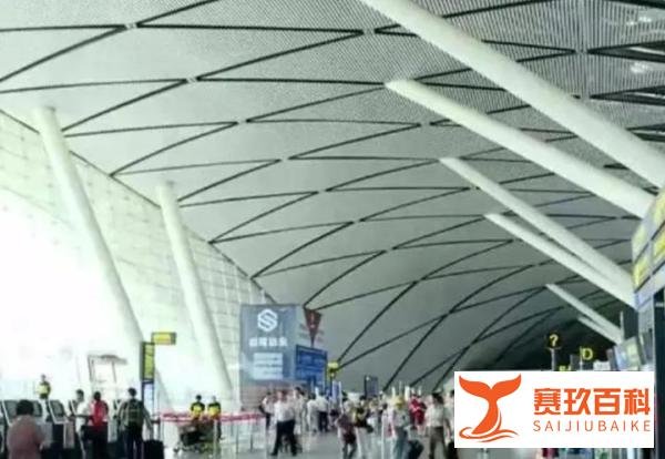 机票价格大跳水，比高铁还便宜？