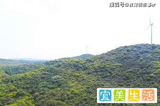 清华大学推出限定雪糕 这是咋情况？
