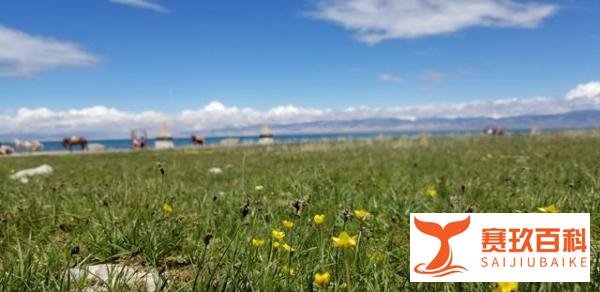 这才是6月值得一去的旅行地,网红打卡地看点颇多,适合打卡