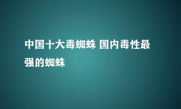 中国十大毒蜘蛛 国内毒性最强的蜘蛛