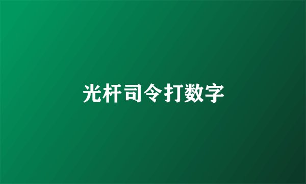 光杆司令打数字