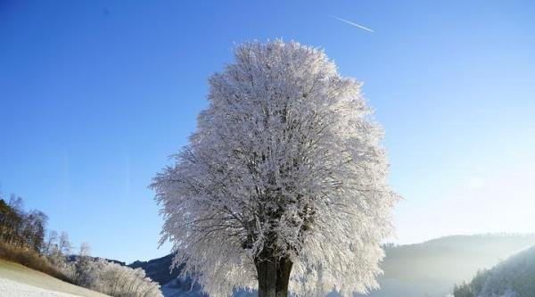 如何撑过“被单身”？