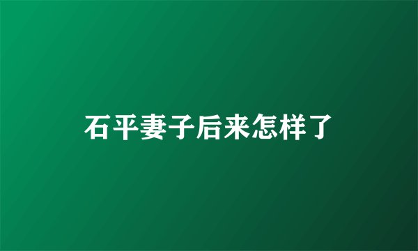 石平妻子后来怎样了