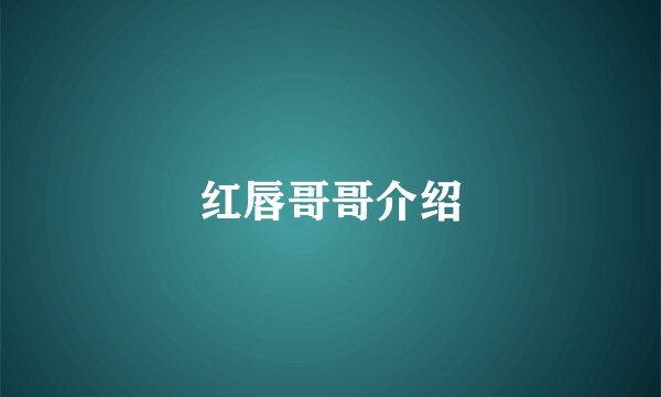 红唇哥哥介绍