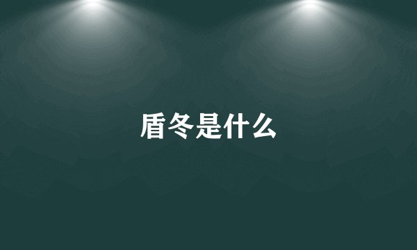 盾冬是什么