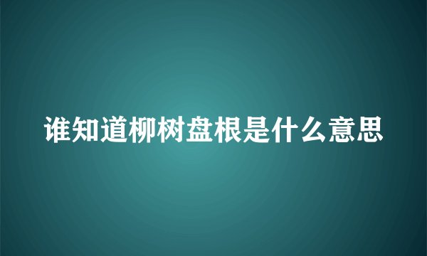谁知道柳树盘根是什么意思