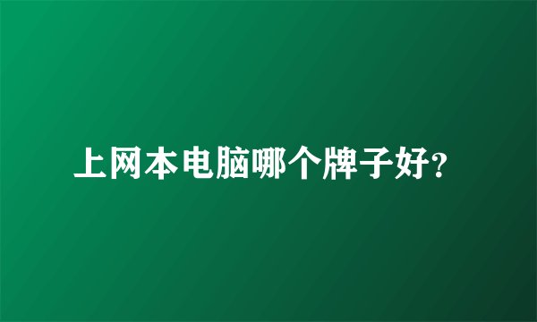 上网本电脑哪个牌子好？