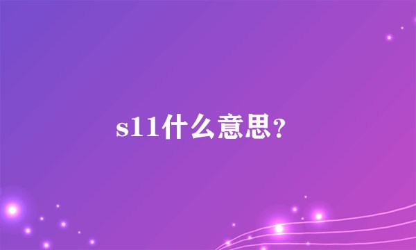 s11什么意思？