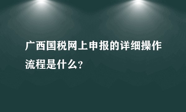 广西国税网上申报的详细操作流程是什么？
